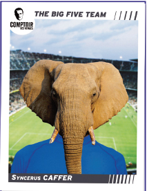 Afrique du Sud : Comptoir des Voyages prépare la Coupe du Monde Afrique du Sud : Comptoir des Voyages prépare la Coupe du Monde