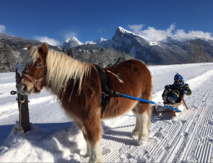 Photo: Equita Passion Photo: Equita Passion