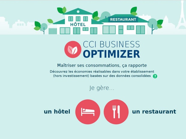 Le site CCI Business Optimizer a été lancé le 26 septembre 2017 à l'occasion de l'IFTM 2017 - Capture d'écran CCI Business Optimizer