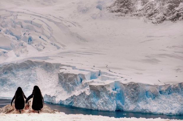 Découvrez les régions polaires avec Quark Expeditions. Croisières bilingues anglais/français. Photo: Quark Expeditions