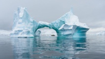 Quark Expeditions : Des croisières bilingues au bout du monde