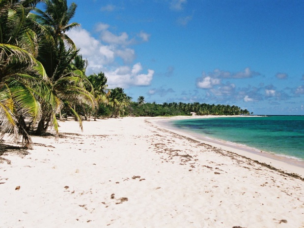 Plage de la Feuillère à Marie-Galante - wikicommons