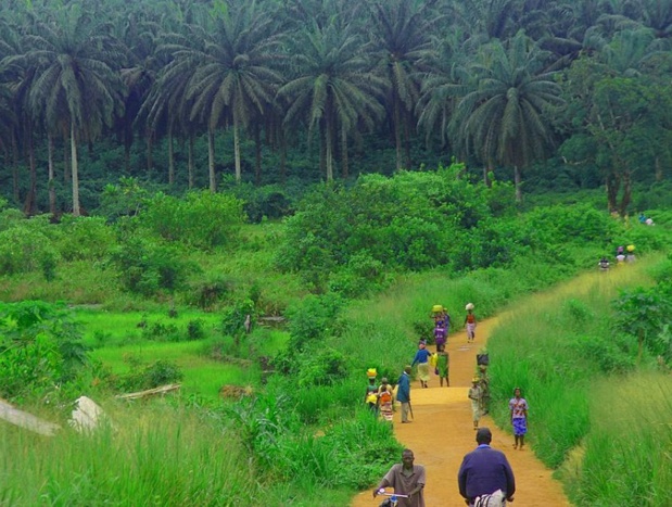 L'ambition de la Sierra Leone est d'être clairement identifiée comme l'une des destinations africaines de l'écotourisme. Ici, la route entre Kenema et Kailahun - DR : LindsayStark L'ambition de la Sierra Leone est d'être clairement identifiée comme l'une des destinations africaines de l'écotourisme. Ici, la route entre Kenema et Kailahun - DR : LindsayStark