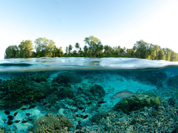 Les Seychelles sont l'une des destinations les plus prisées au monde Les Seychelles sont l'une des destinations les plus prisées au monde
