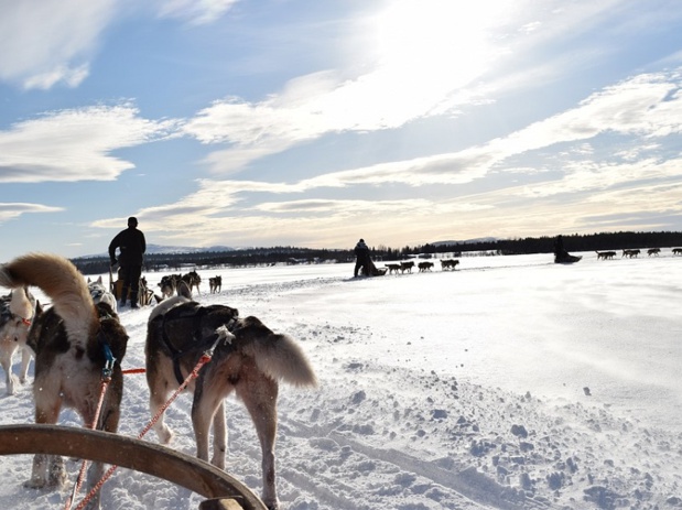 Nortours propose des séjours en Laponie finlandaise, norvégienne et suédoise - DR Pixabay