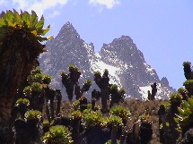 L'ecotourisme - ici Mont Kenya - est une des ressources à explorer pour la destination. L'ecotourisme - ici Mont Kenya - est une des ressources à explorer pour la destination.