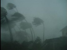 L’ouragan Emily, d´une force IV, a touché le dimanche soir les zones côtières du nord de Quintana Roo (Cozumel, Cancún et la Riviera Maya) et lundi l´état du Yucatan.