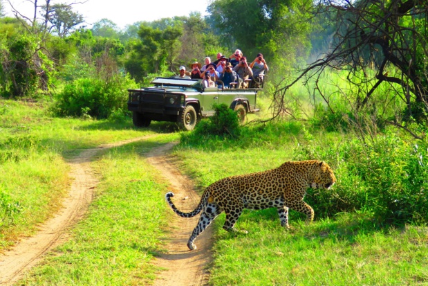 Haute-Savoie : Montessuit Voyages commercialise un lodge haut de gamme en Afrique du Sud