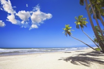 Condor : Embarquement immédiat Condor : Embarquement immédiat