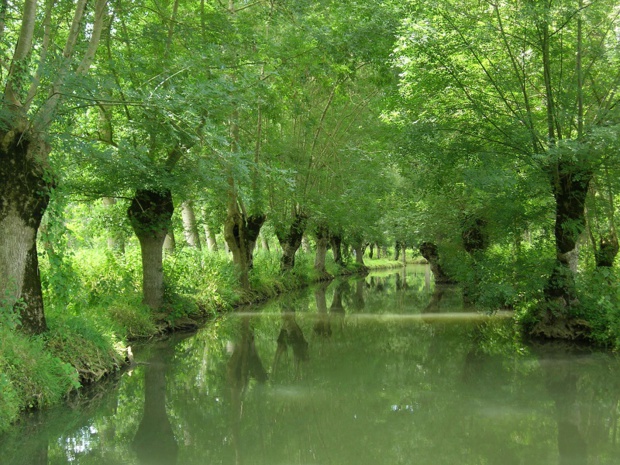 Le Parc Naturel Régional œuvre pour la sauvegarde, la restauration et la valorisation du territoire. Photo: PNR Marais poitevin