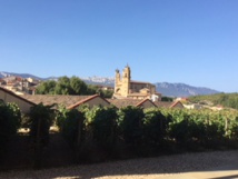 Les vignes de la Rioja - DR : J.-P.C. Les vignes de la Rioja - DR : J.-P.C.