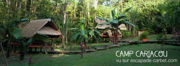 Escapade Carbet permet aux voyageurs en Guyane une symbiose avec la nature tout en respectant l'environnement.