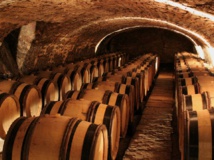 Les visites de caves à futs sont de plus en plus demandées - DR Wine Passport