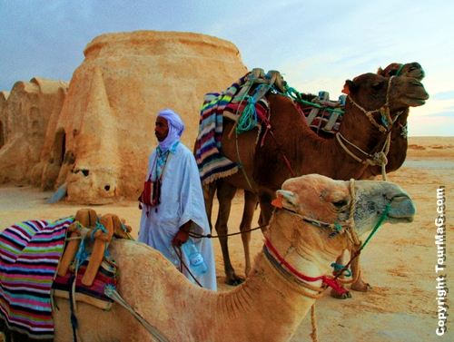 Tunisie : Amplitravel veut se donner les moyens de son leadership Tunisie : Amplitravel veut se donner les moyens de son leadership