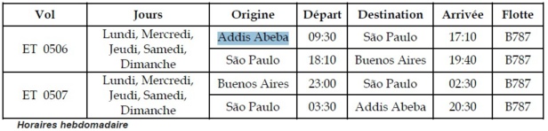 Ethiopian Airlines va relier Buenos Aires à Addis Abeba (Ethiopie) dès mars 2018