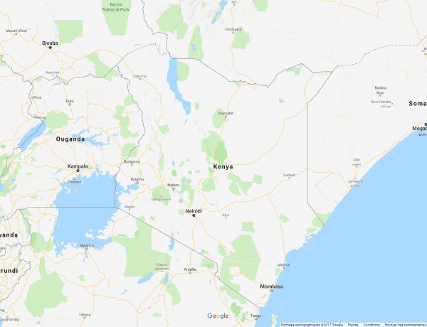 Kenya : risques d'importantes manifestations suite aux élections présidentielles