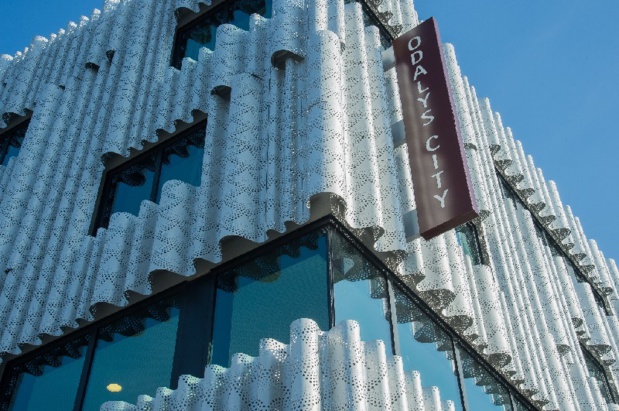 La façade est composée de panneaux métalliques réalisés sur mesure, formant un rideau ondulé, perforé, animant la grande façade sur la place Pouchet - Photo ODALYS