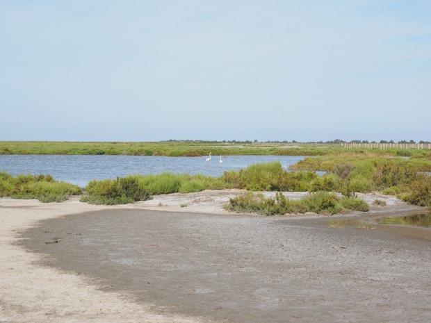 à terme, le dépassement des fameux 2°c entraînerait la disparition de la Camargue - photo CC0 Creative Commons