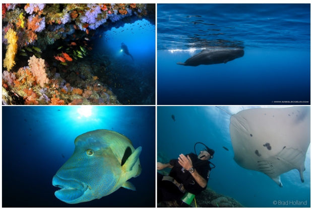 46 jours au départ de Paris, 10 escales et 7 des plus beaux spots de la planète - DR 46 jours au départ de Paris, 10 escales et 7 des plus beaux spots de la planète - DR