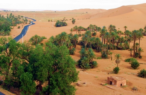 Grand sud : l'Algérie saharienne aux portes des mégapoles françaises