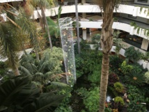 Jardin intérieur de l'hôtel Melia Salinas 4* imaginé par l'artiste © TourMaG