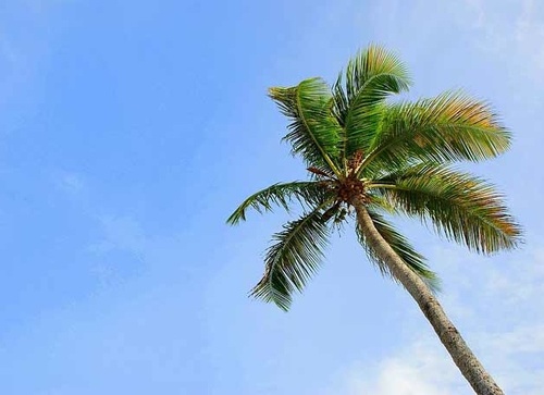 51% des Français partiront aussi loin que l’année dernière 51% des Français partiront aussi loin que l’année dernière