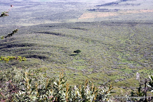 La grimpette du Mont Longonot vaut la chandelle. Sous nos yeux ébahis se déroule à perte de vue le magnifique panorama de la vallée du rift. Le sommet du mont, lui, abrite le cratère d'un ancien volcan.