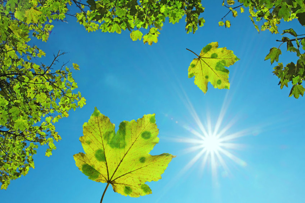 Une vision plus équitable du tourisme Crédit : 123RF Une vision plus équitable du tourisme Crédit : 123RF