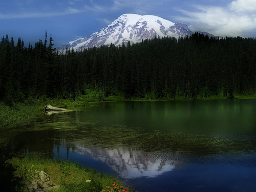 Le Mont Rainier©GordonCampbell Le Mont Rainier©GordonCampbell