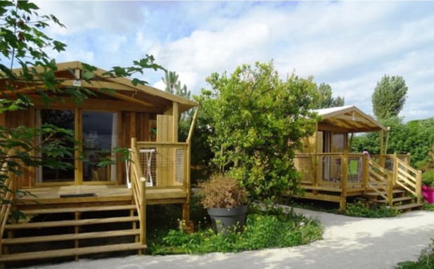 DR Flower Campings DR Flower Campings