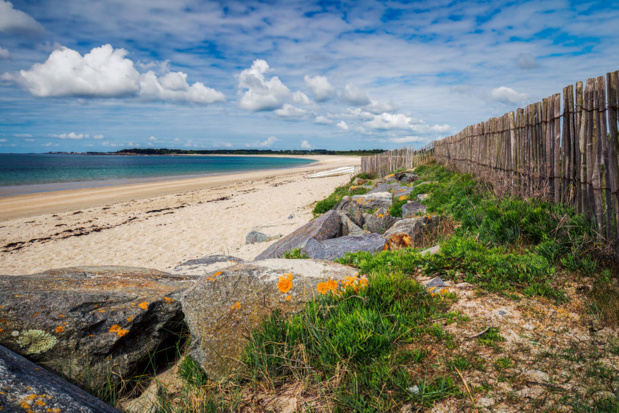 Le Morbihan lance son startup contest Crédit :123RF