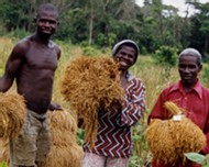 Développement durable. L’expression est explicite. Donner aux populations locales les aides nécessaires au projet de campement à Diari en Guinée.