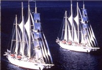 Le Star Clipper et le Star Flyer