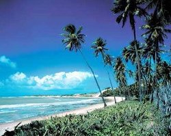 FICHE BRESIL VOYAGES