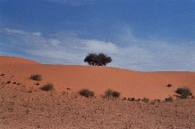Pour les amateurs de dunes et de tassilis, la brochure Déserts du monde propose 90 treks dans 10 déserts dont 22 nouveautés.