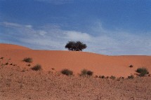 Pour les amateurs de dunes et de tassilis, la brochure Déserts du monde propose 90 treks dans 10 déserts dont 22 nouveautés. Pour les amateurs de dunes et de tassilis, la brochure Déserts du monde propose 90 treks dans 10 déserts dont 22 nouveautés.