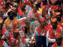 Des Hôtels et des Iles : offres agents de voyages, avion inclus Des Hôtels et des Iles : offres agents de voyages, avion inclus