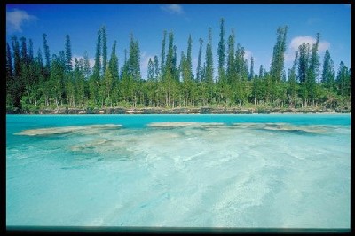 Nouvelle Calédonie : le Surf Novotel reste fermé pour raison de sécurité Nouvelle Calédonie : le Surf Novotel reste fermé pour raison de sécurité