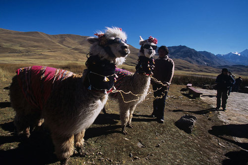 Pérou : +3.3% de visiteurs français en 2009