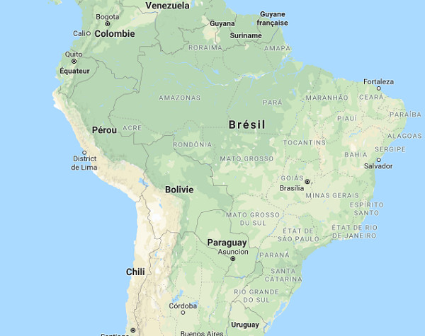 Plusieurs cas de fièvre jaune ont été rapportés, y compris parmi des touristes, dans le Minas Gerais, à Rio de Janeiro, à São Paulo et dans le District Fédéral (Brasilia) - Dr