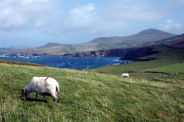 En France, 40% des réservations pour l’Irlande se font entre janvier et mars - Photo CE