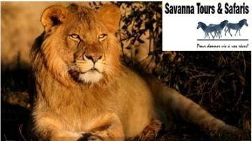 Savanna Tours propose pour les familles et groupes des safaris privatifs Tanzanie, accompagnés en français