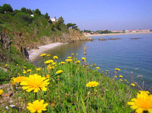 La France est une destination prioritaire pour 7 Français sur 10 - Crique de Porteils à Argelès sur Mer - Photo DR