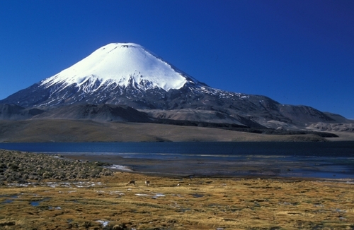 Le Lago Chungará au nord du Chili