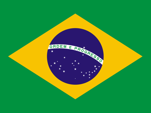 Brésil : des cas de fièvre jaune