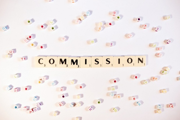 Les commissions dynamiques suppriment la rémunération à taux fixe et proposent un partage de revenu entre Expedia TAAP et ses agences affiliées - Jonathan_Rolande Pixabay