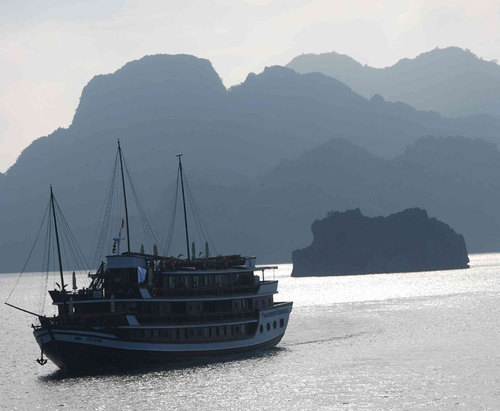 Paradise Cruises : "L’Asie offre d’énormes opportunités aux jeunes managers français"