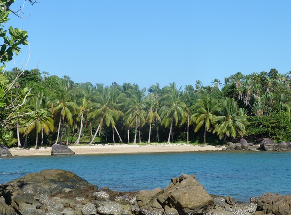 L'OT de Madagascar représenté par GroupExpression