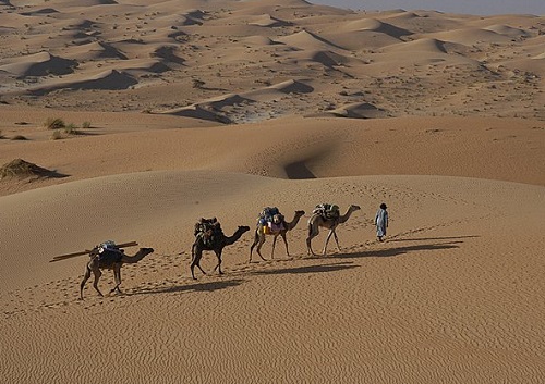 Evaneos lance la Mauritanie et l’Algérie