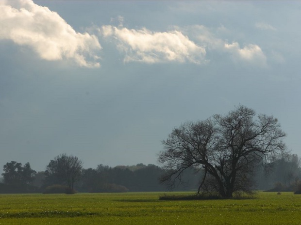 DR Maison de la Nature du Ried et de l'Alsace Centrale DR Maison de la Nature du Ried et de l'Alsace Centrale